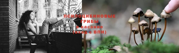 винт Алексин
