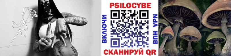 Псилоцибиновые грибы Psilocybe  Муром 